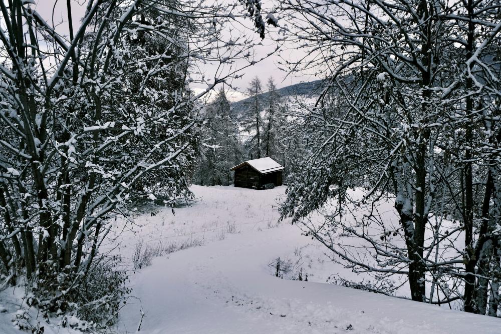 Luxus Ferienhäuser an der Nordsee: Ihr Traumurlaub beginnt hier!